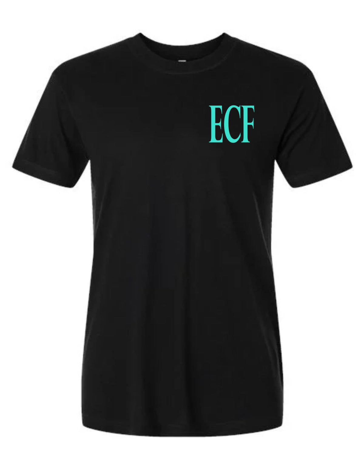 HOA Series Black Tee